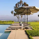 Vue Modern
